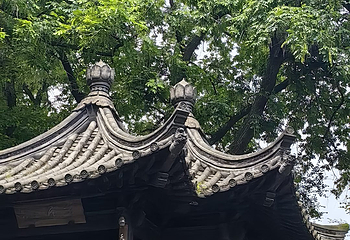 沈园第 90 张图片