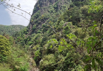天台山景区第 86 张图片