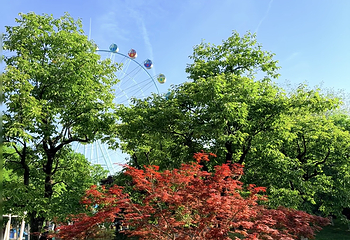西安浐灞国家湿地公园第 77 张图片