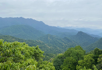 青城山第 94 张图片