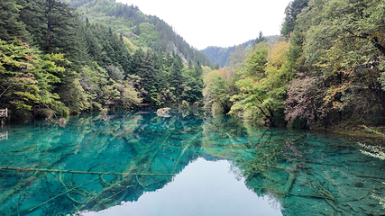 九寨沟风景区第 586 张图片