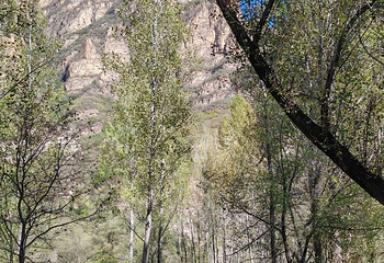 百里山水画廊第 114 张图片