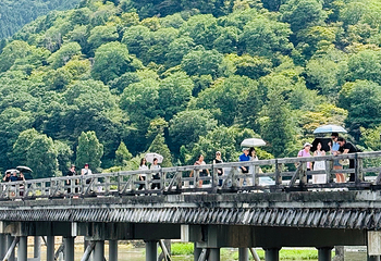 渡月桥第 68 张图片