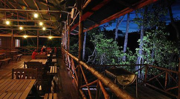 Semporna Proboscis River Cruise