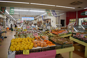 立山あるぺん村