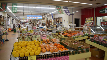 立山あるぺん村