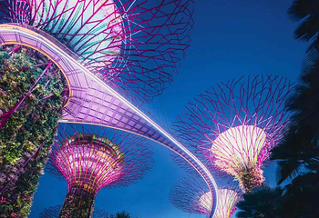 新加坡滨海湾花园第 141 张图片