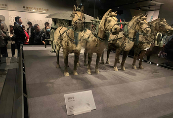 秦始皇帝陵博物院(兵马俑)第 144 张图片