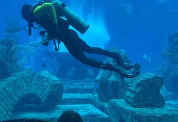 迪拜“失落的世界”水族馆第 10 张图片