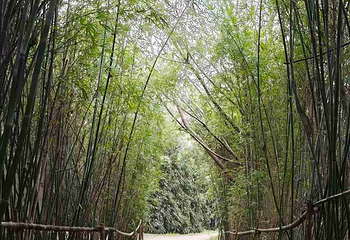 良渚古城遗址公园第 69 张图片