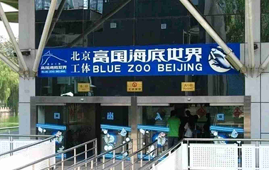 富国海底世界第 15 张图片
