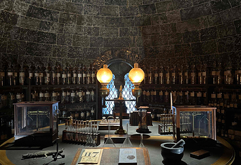 东京哈利波特制片厂之旅第 238 张图片