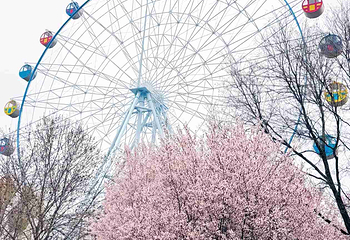 西安浐灞国家湿地公园第 29 张图片