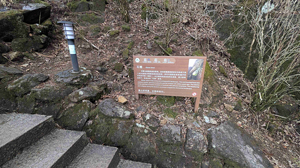 黄山风景区第 451 张图片