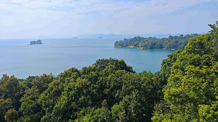 万绿湖风景区第 20 张图片