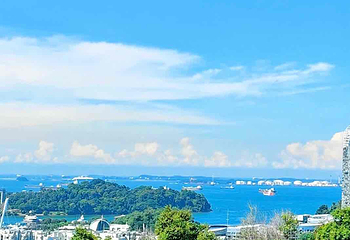 花柏山公园第 97 张图片