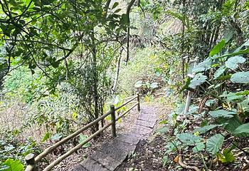 雷琼海口火山群世界地质公园第 82 张图片