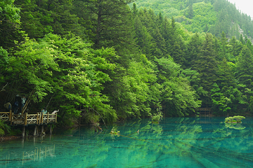 九寨沟风景区第 139 张图片