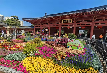 兴庆宫公园第 44 张图片