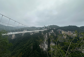 张家界大峡谷第 121 张图片