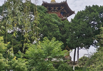 兴庆宫公园第 113 张图片