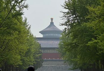 天坛公园第 228 张图片