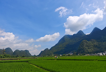 万峰林景区第 86 张图片