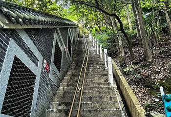 南山风景区第 103 张图片
