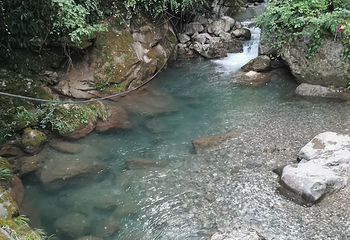 青城后山第 25 张图片