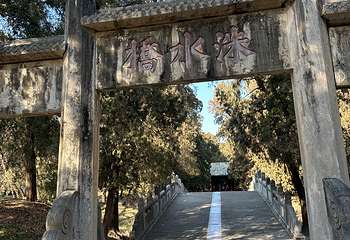 曲阜三孔景区第 173 张图片
