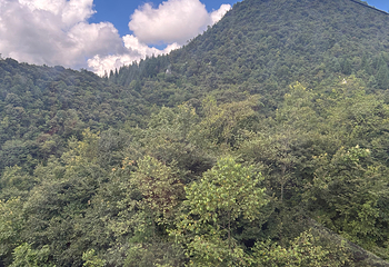 梅花山旅游景区第 95 张图片