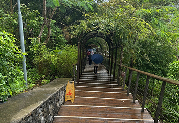 德天跨国瀑布景区第 187 张图片