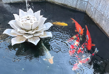 广仁寺第 116 张图片