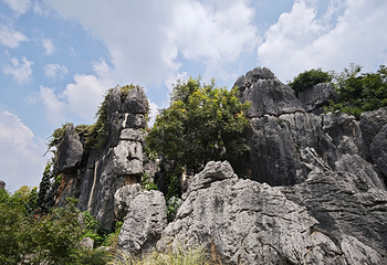 石林风景区第 119 张图片