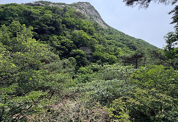 昆嵛山无染寺第 11 张图片