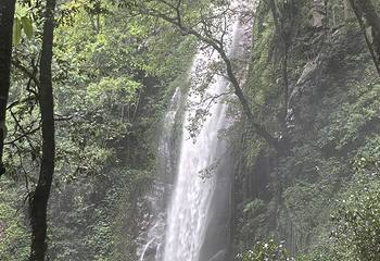 莫里热带雨林景区第 37 张图片
