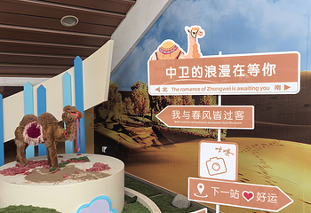 沙坡头第 264 张图片