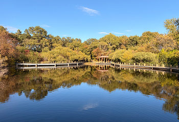 太阳岛风景区第 43 张图片