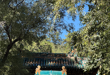 晋祠博物馆第 289 张图片