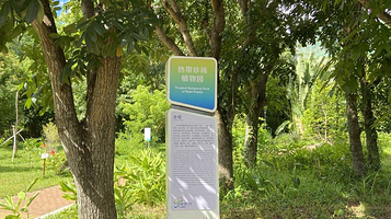 热带珍稀植物园