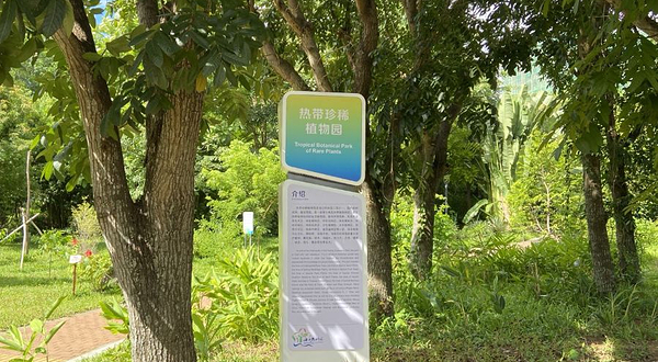 热带珍稀植物园