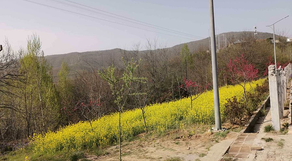 金锁关石林-花海区