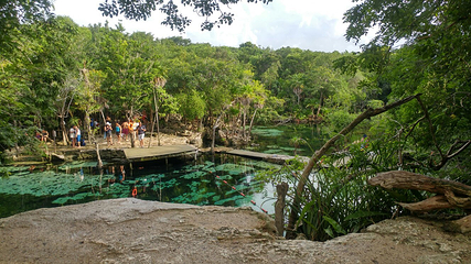 Cenote Azul第 5 张图片