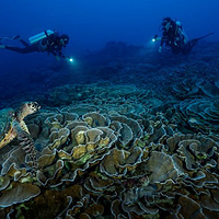 MOKARRAN DIVING