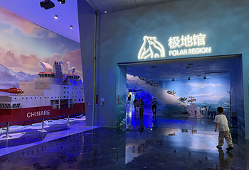 小梅沙海洋世界第 8 张图片