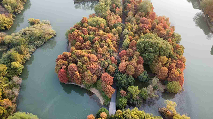 西溪国家湿地公园第 156 张图片