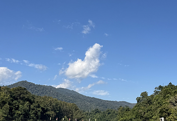 西双版纳热带雨林国家公园望天树景区第 122 张图片