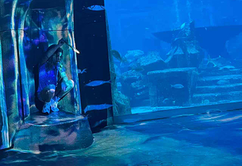 迪拜“失落的世界”水族馆第 12 张图片