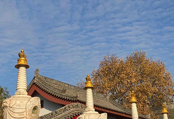 广仁寺第 36 张图片