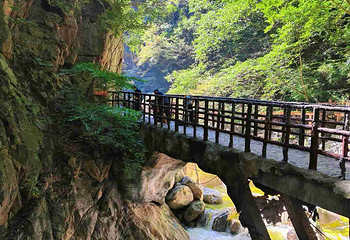 太平国家森林公园第 45 张图片
